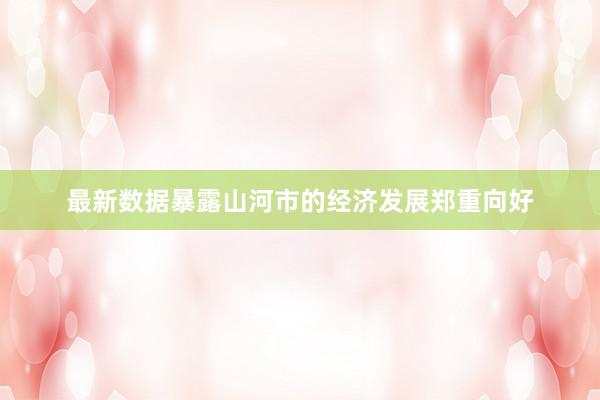 最新数据暴露山河市的经济发展郑重向好