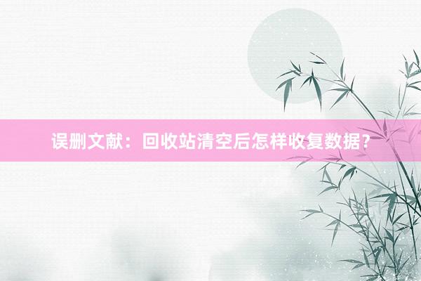 误删文献：回收站清空后怎样收复数据？