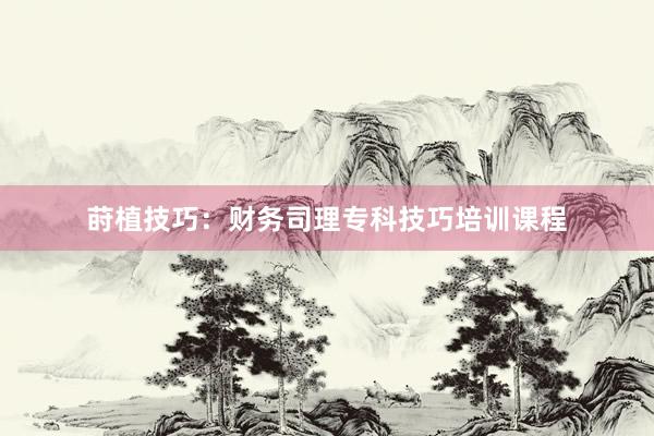 莳植技巧：财务司理专科技巧培训课程