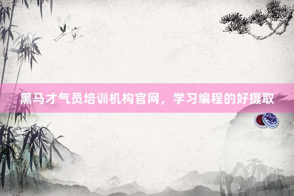 黑马才气员培训机构官网，学习编程的好摄取