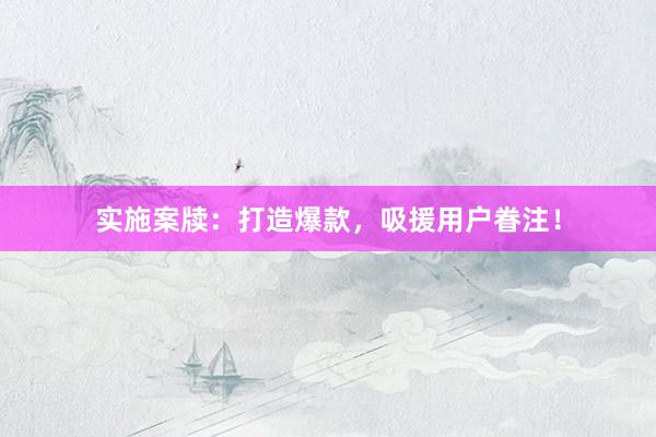 实施案牍：打造爆款，吸援用户眷注！