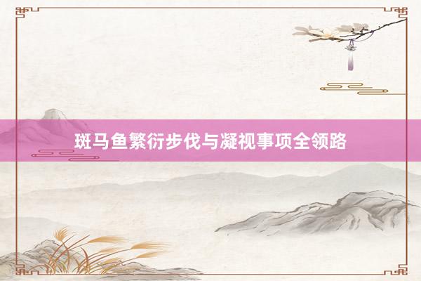 斑马鱼繁衍步伐与凝视事项全领路